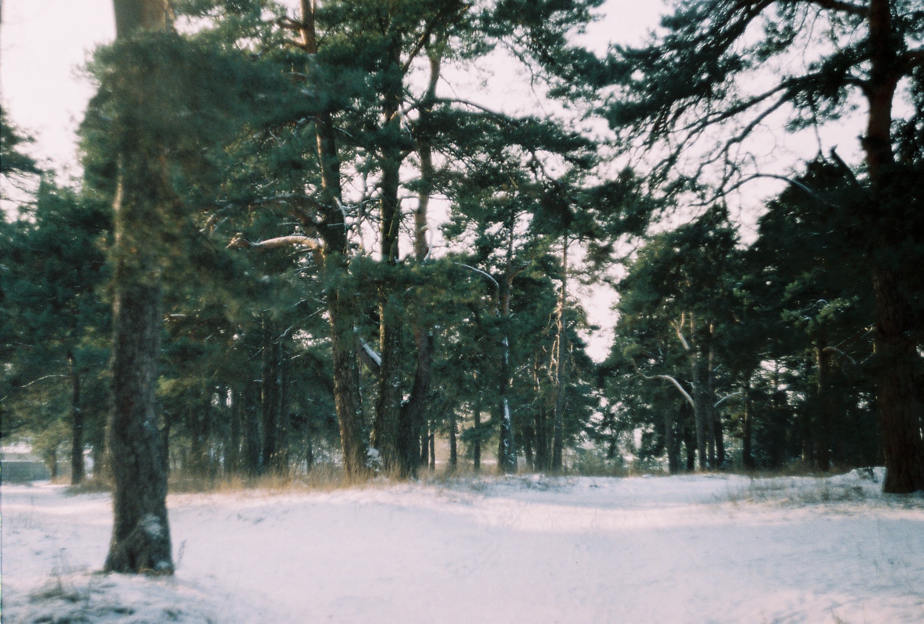 Первая статья в блоге flyvi, о чем-то непонятном